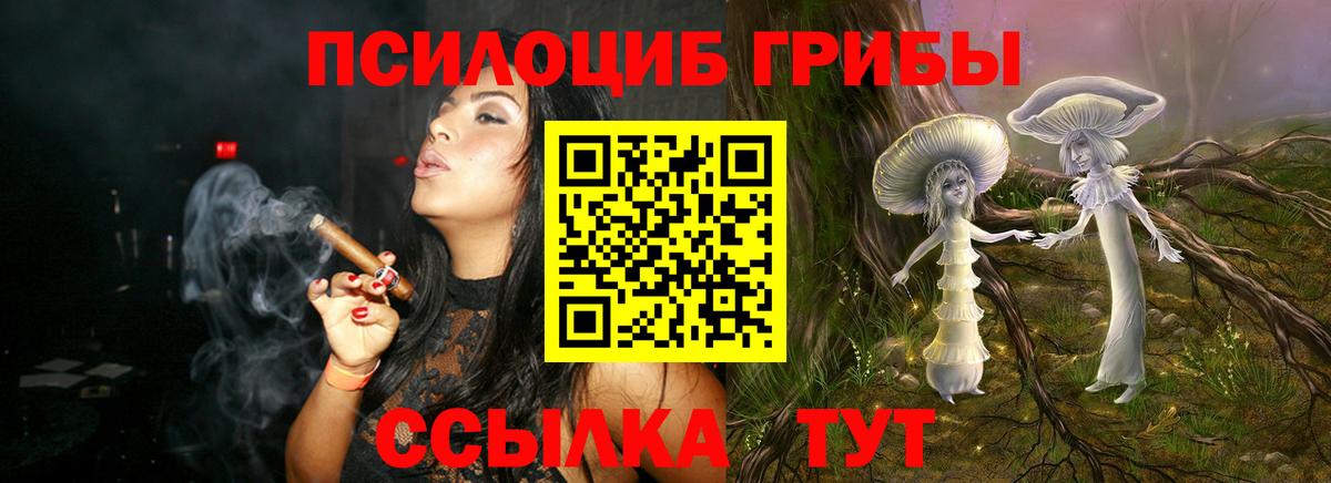 Котлас  Псилоцибиновые грибы ЛСД  Псилоцибиновые грибы GOLDEN TEACHER  магазин продажи   Вход с VPN 