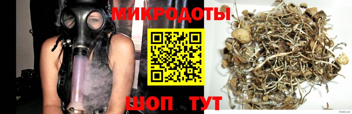 Галлюциногенные грибы мицелий Котлас